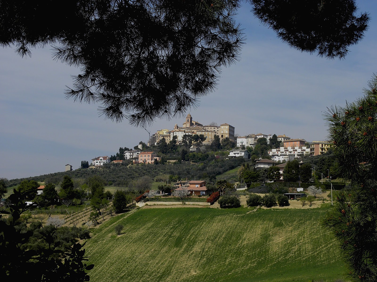 a montep 1